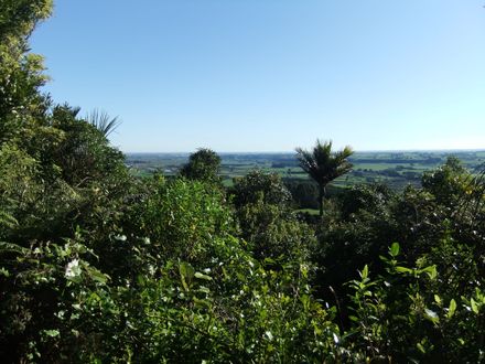 Tom's Lookout