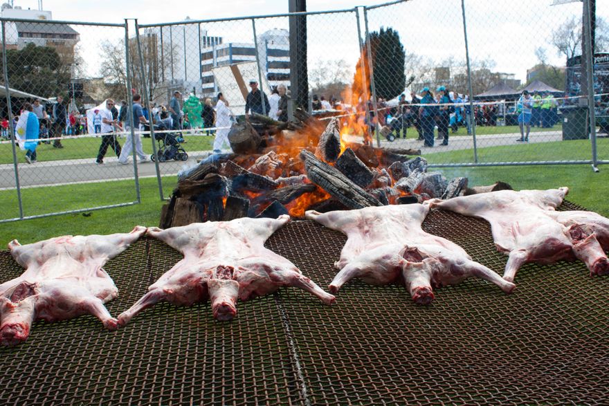 Our People, Our Place Festival - Rugby World Cup 2011