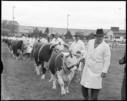 "Supreme Champion Leads the Parade" Royal Show