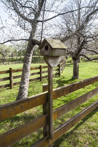 Taylor Bird House, 39 Old Kips Road, Ashhurst - Resource cover image
