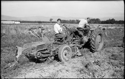 Machine Harvests Potato Crop - Resource cover image