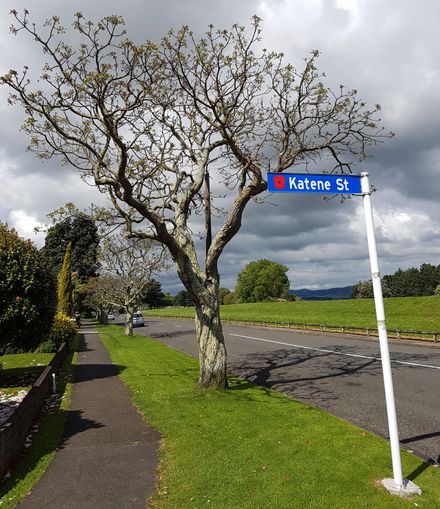 Katene Street sign with poppy