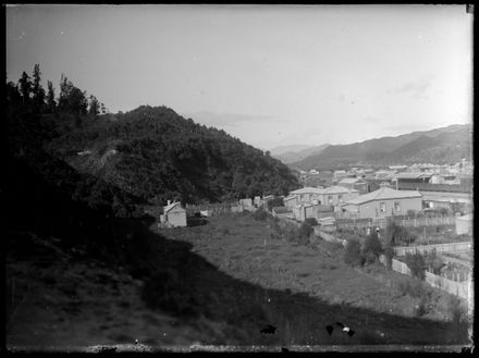 View of Taumarunui - Resource cover image