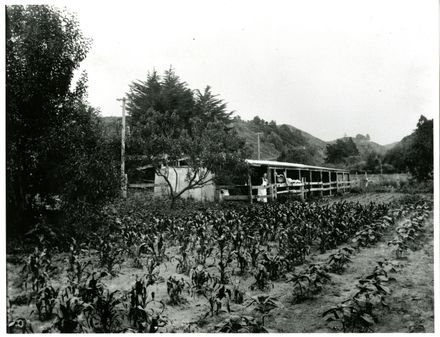 The Wildbore farm in Pohangina - Resource cover image