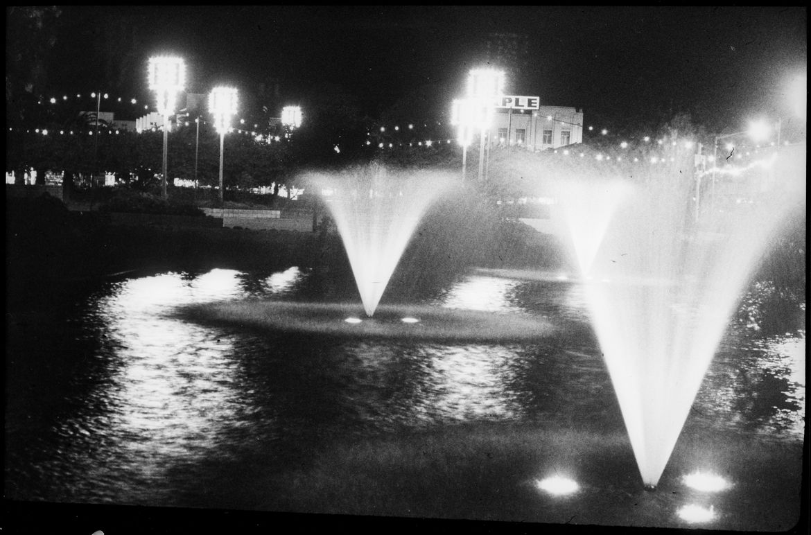 Christmas lights in Palmerston North