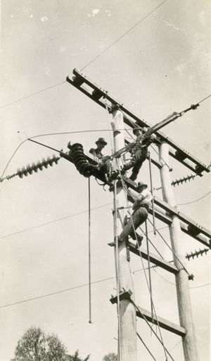 Workmen Repairing Powerline - Mangahao Electric Power Scheme