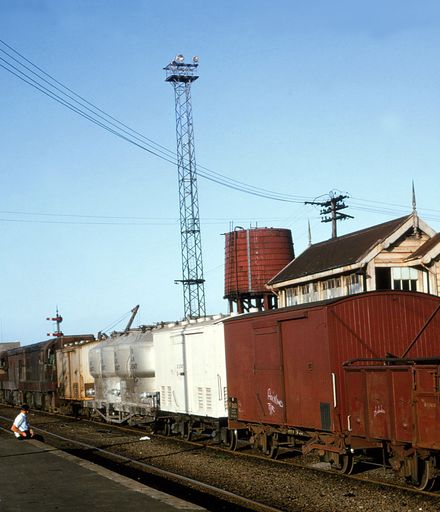 Freight Train in the Railway Yards