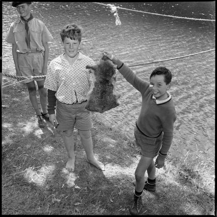 "Great Life for Boys at Scout Camp" Displaying Treated Possum Skin