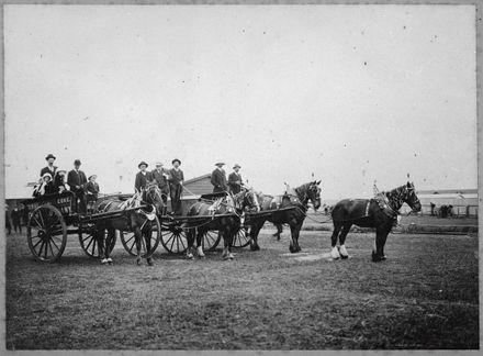Gas Company drays at the Showground