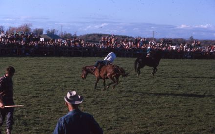 Linton Rodeo