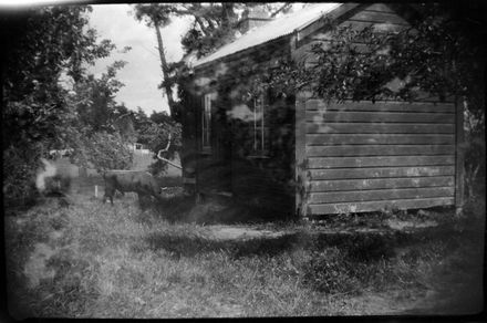 Possibly the original whare of the Dahlstrom family, Roberts Line - Resource cover image