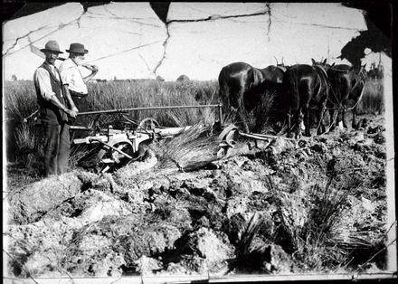 Ploughing swamp land