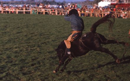 Linton Rodeo