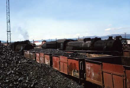 Locomotive and Coal Wagons