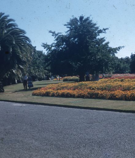 Flowering Herbaceous Bedding Plants at the Victoria Esplanade