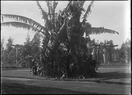 Lads at the Esplanade - Resource cover image
