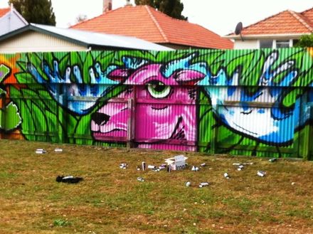 Graffiti at Norton Park