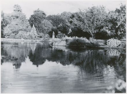 The Lily Pond at the Esplanade - Resource cover image