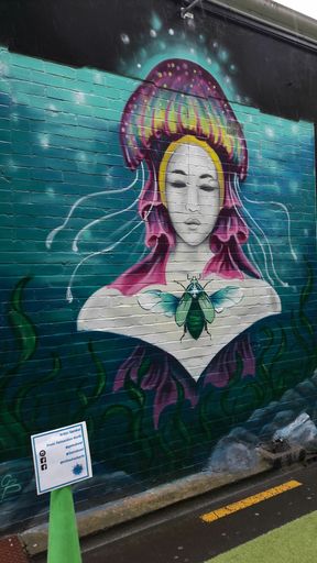 Beats and Brushes 2017 - Resource cover image