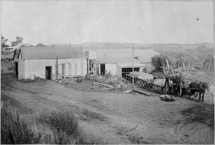 Bock and Coley's flax mill, Foxton.