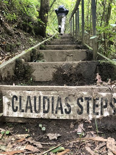 "Are we there yet?" - Sledge Track