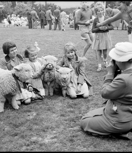 "Prizewinning Lambs at Tokomaru School"