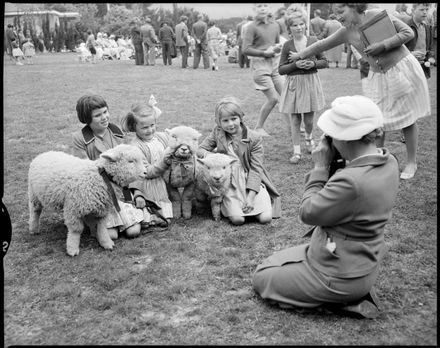 "Prizewinning Lambs at Tokomaru School"
