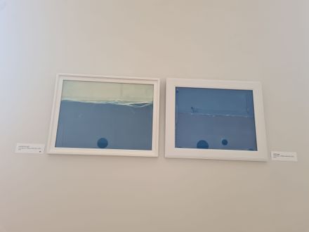 Art Exhibition Snails Artist Run Space