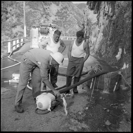 "Firemen "Mop-Up" Gorge Blaze"
