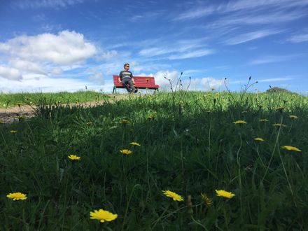 "Best seat in the world"