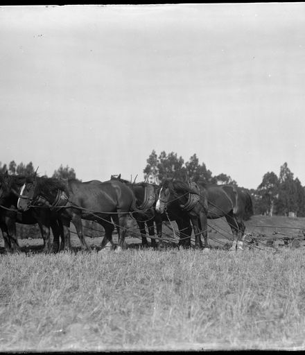 Man with Team of Horses on Plough