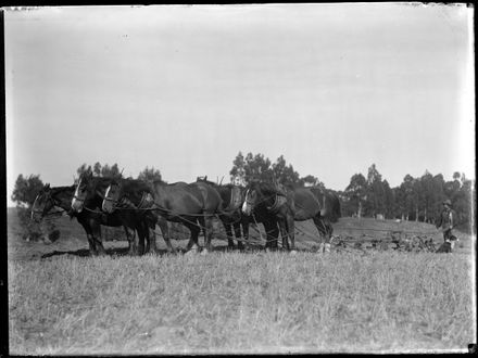 Man with Team of Horses on Plough