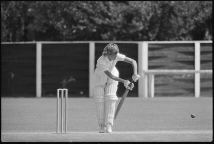 Women's International Cricket World Cup - Central Districts v India - Resource cover image