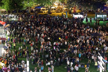 Crowds at Festival of Cultures