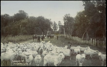 Awahuri Road, Feilding 1