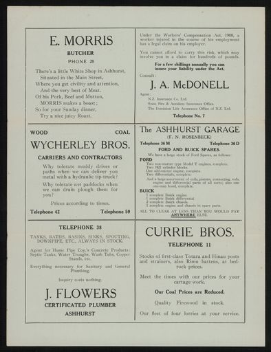 'Try Ashhurst First' newspaper 3