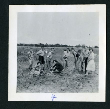 Digging potatoes for a St. Andrew's Presbyterian Bible Class fundraising effort