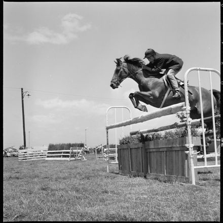 2018N_2017-20_MS000947a - Skilful Showjumping