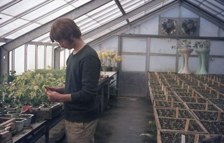 Hardie Street Nursery