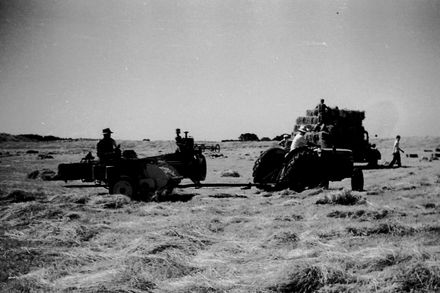 Burne's farm, Carnarvon