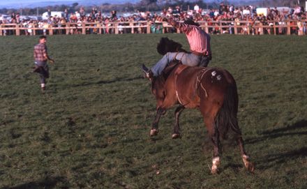 Linton Rodeo