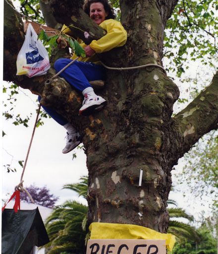 Avenue Action protestor in tree