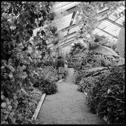 "Esplanade Glasshouse Popular"