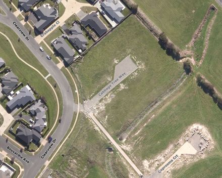 Cabbage Tree Way, Name