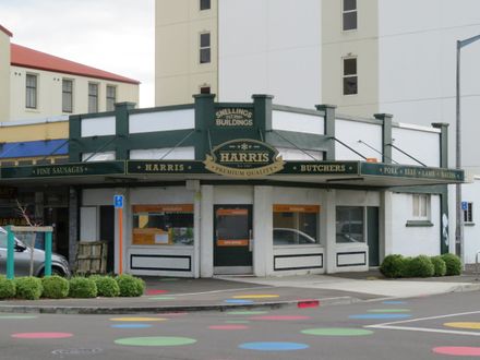 Snelling building, 193-199 Cuba Street - Resource cover image