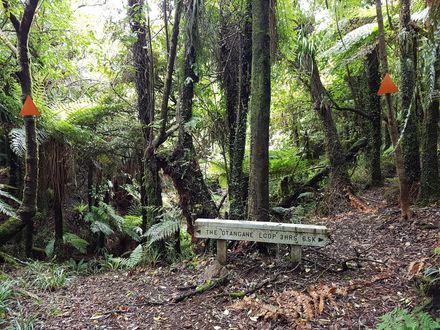 Otangane Loop Track Fork