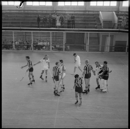 "Representative Roller Skating Hockey"