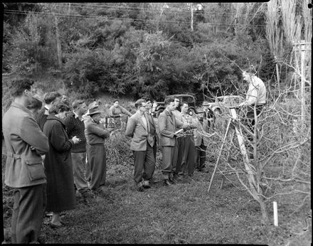 "Pruning Apple Trees"