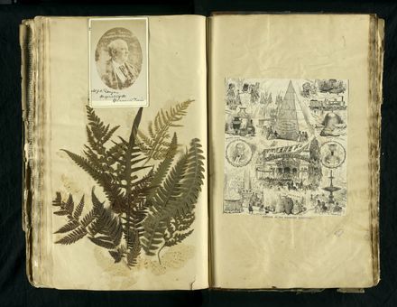 Louisa Snelson's Scrapbook - Page 137