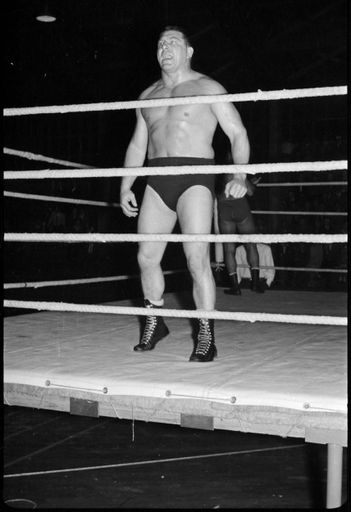 International Wrestling Contest